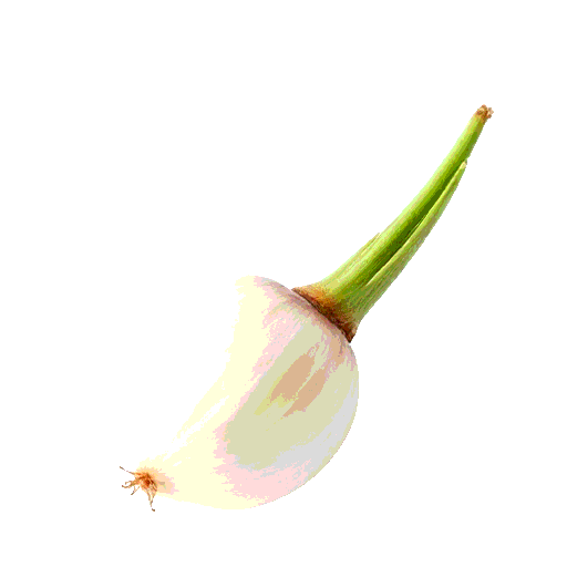 endive