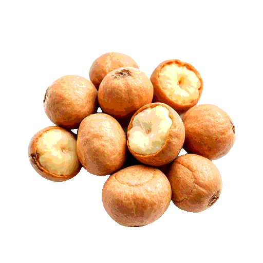 gamboge nuts