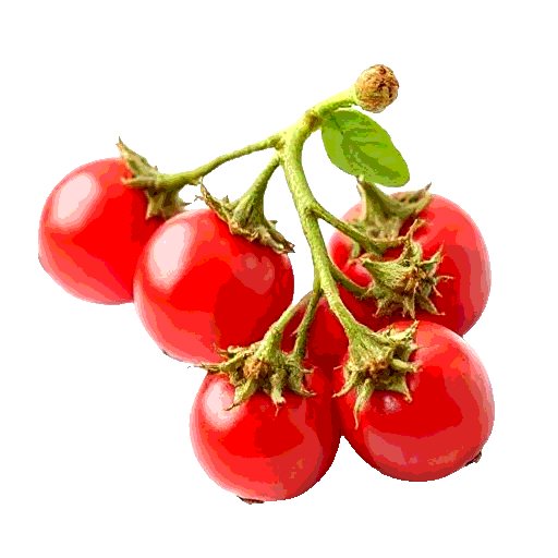 gojiberry