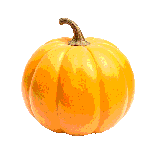 gourd