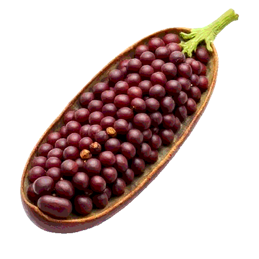 great northern bean