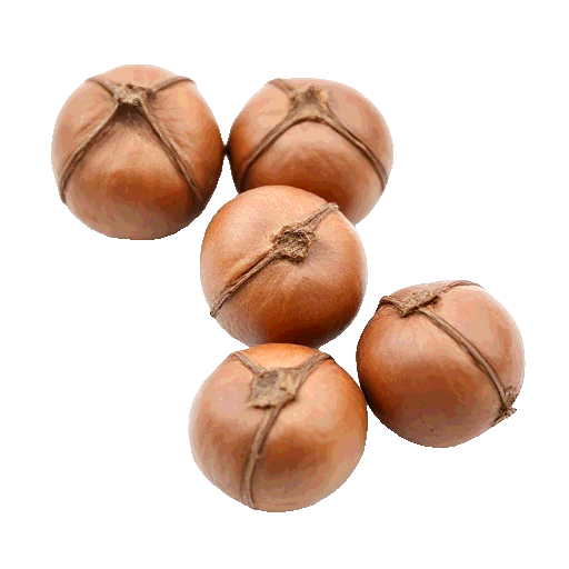 hazelnuts