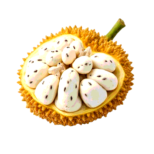 jackfruit seeds