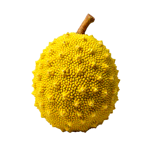 jackfruit