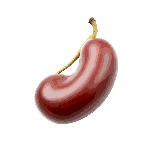 kidney bean