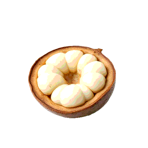 kola nut