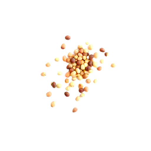 lentil