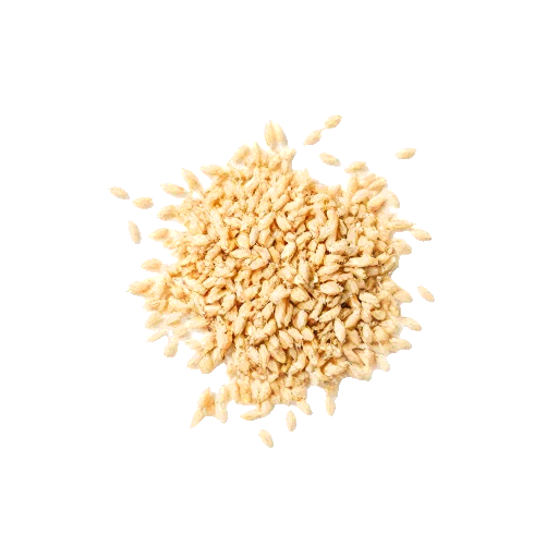 little millet