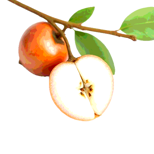 longan