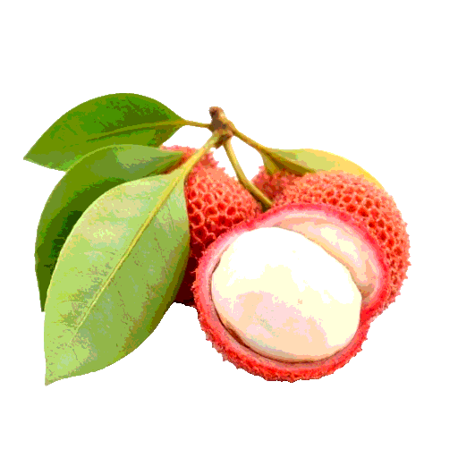 lychee