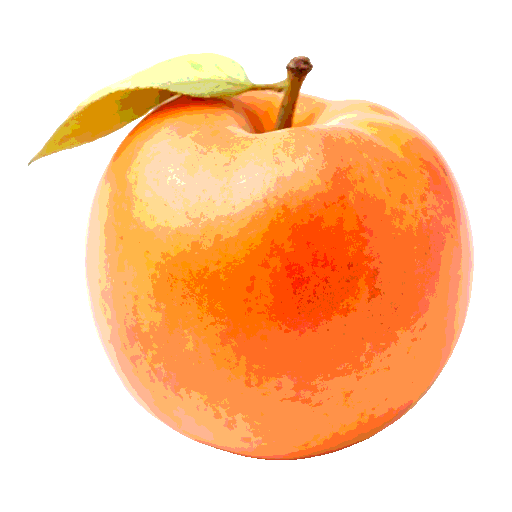 nectarine