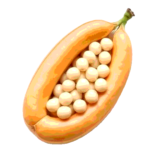 navy bean