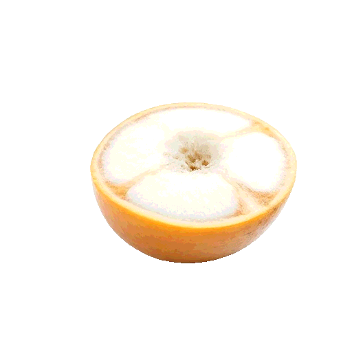 oca