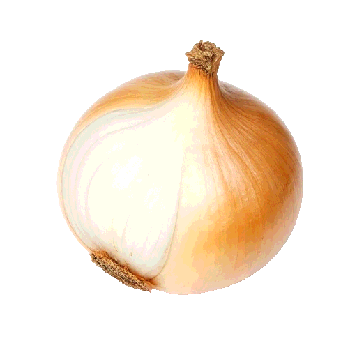 onion