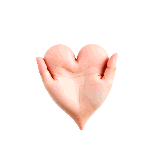 palm heart