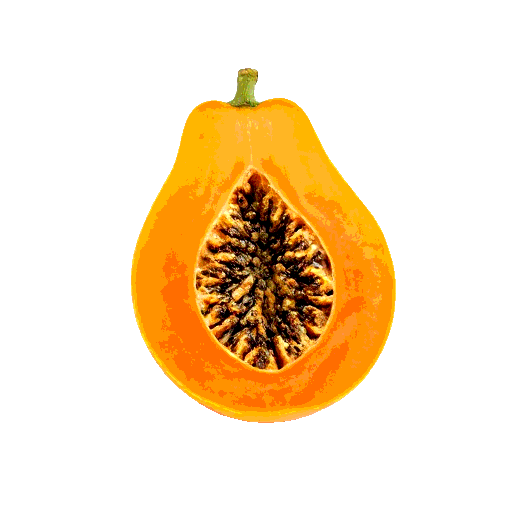 papaya