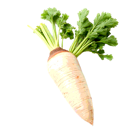 parsnip
