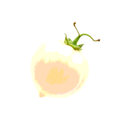 physalis