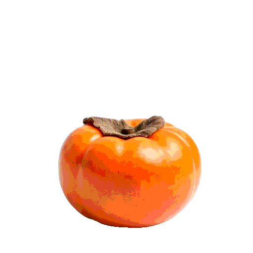 persimmon