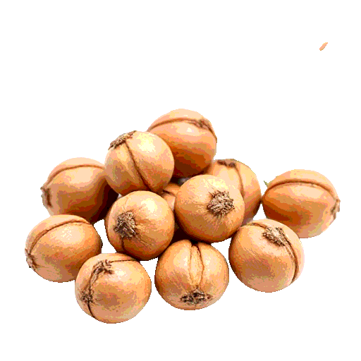 pine nuts