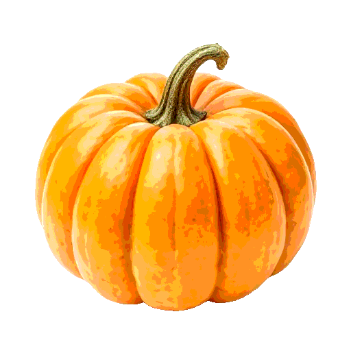 pumpkin blossom
