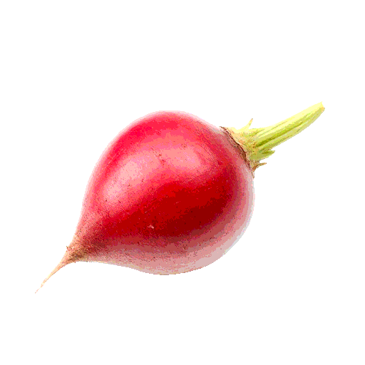 radish