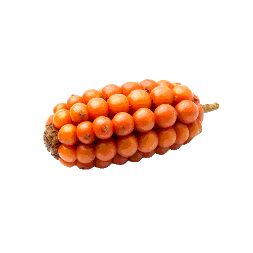 rambai