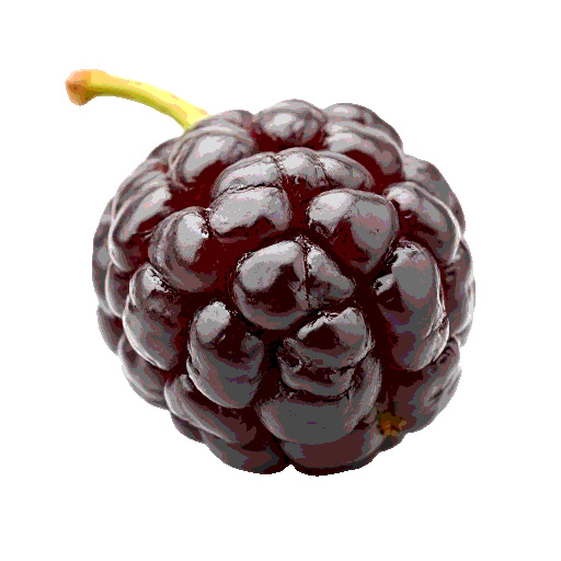 raisin