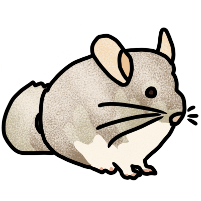 chinchilla after dust bath