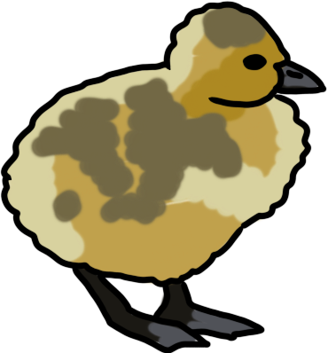 gosling