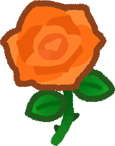orange rose