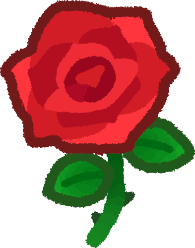 red rose