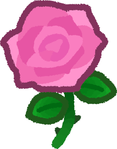pink rose