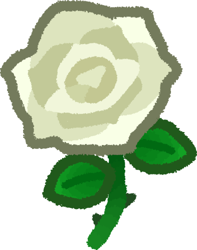 white rose