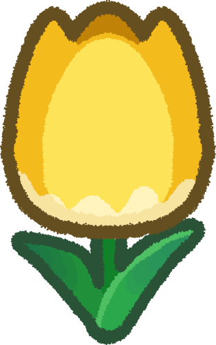 yellow tulip