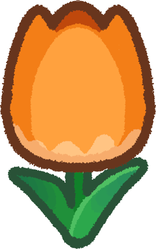 orange tulip