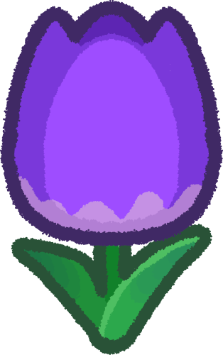 purple tulip