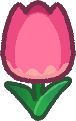 pink tulip