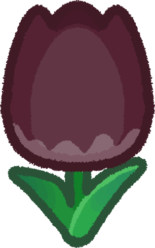 black tulip