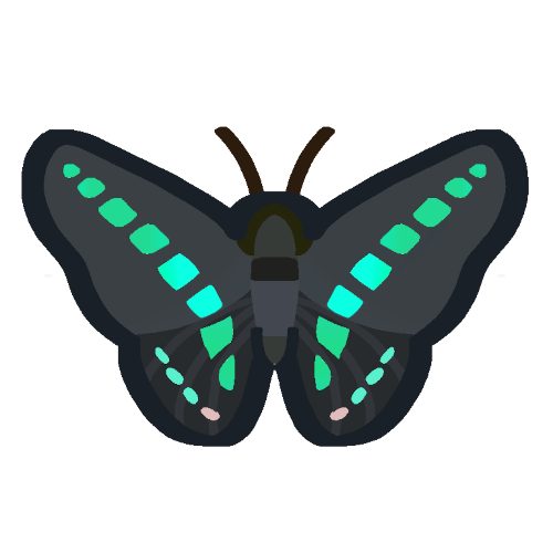common bluebottle butterfly