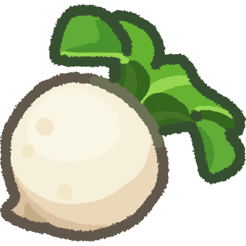 turnip
