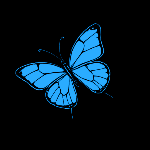 butterfly