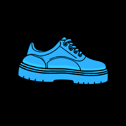 shoe