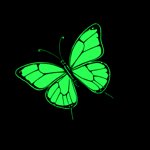 butterfly