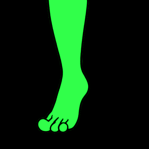 foot