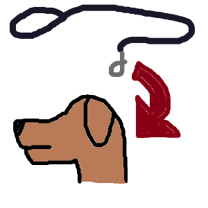 please put your dog on a leash