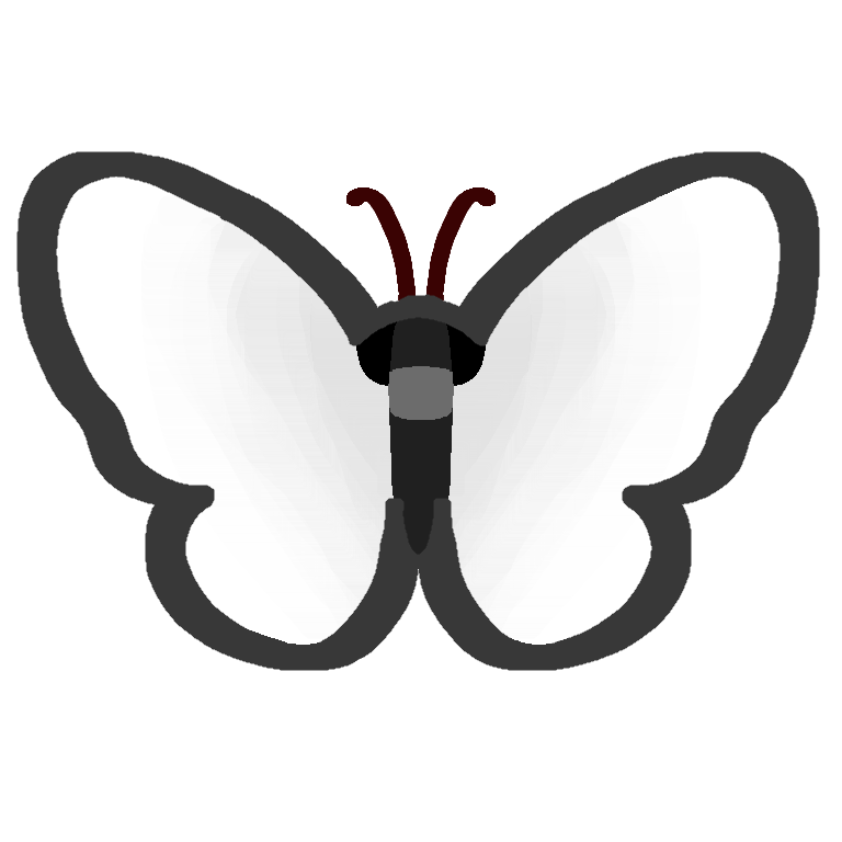 white butterfly