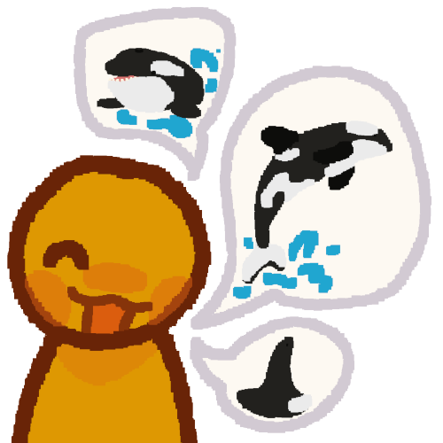 orcas are my special interest