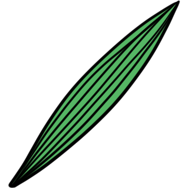 lanceolate (leaf shape)