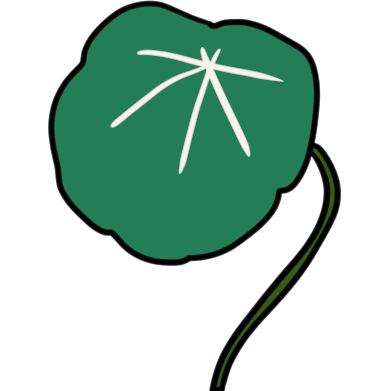 peltate (leaf shape)